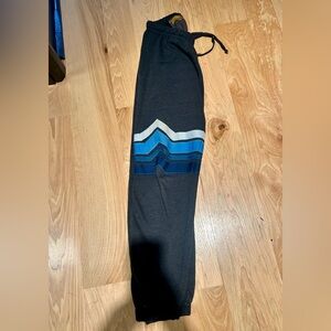 Rare aviator nation jogger sweatpants